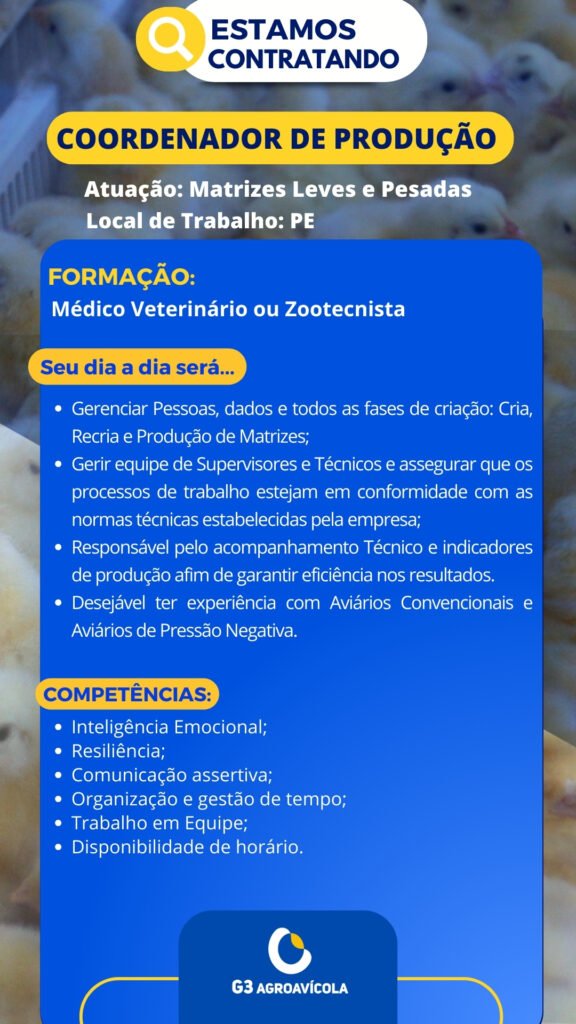 Coordenador de Produção